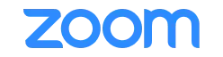 Zoom logo